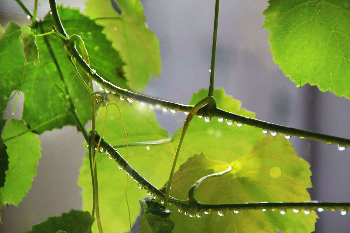 �������� ����� Oksana Shatravka �� PhotoGeek.ru #������ ��� ������� #����� ��������������