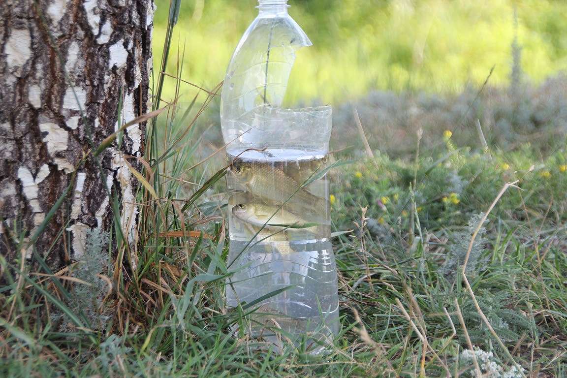 ������� ����� Oksana Shatravka �� PhotoGeek.ru #������ ��� �������