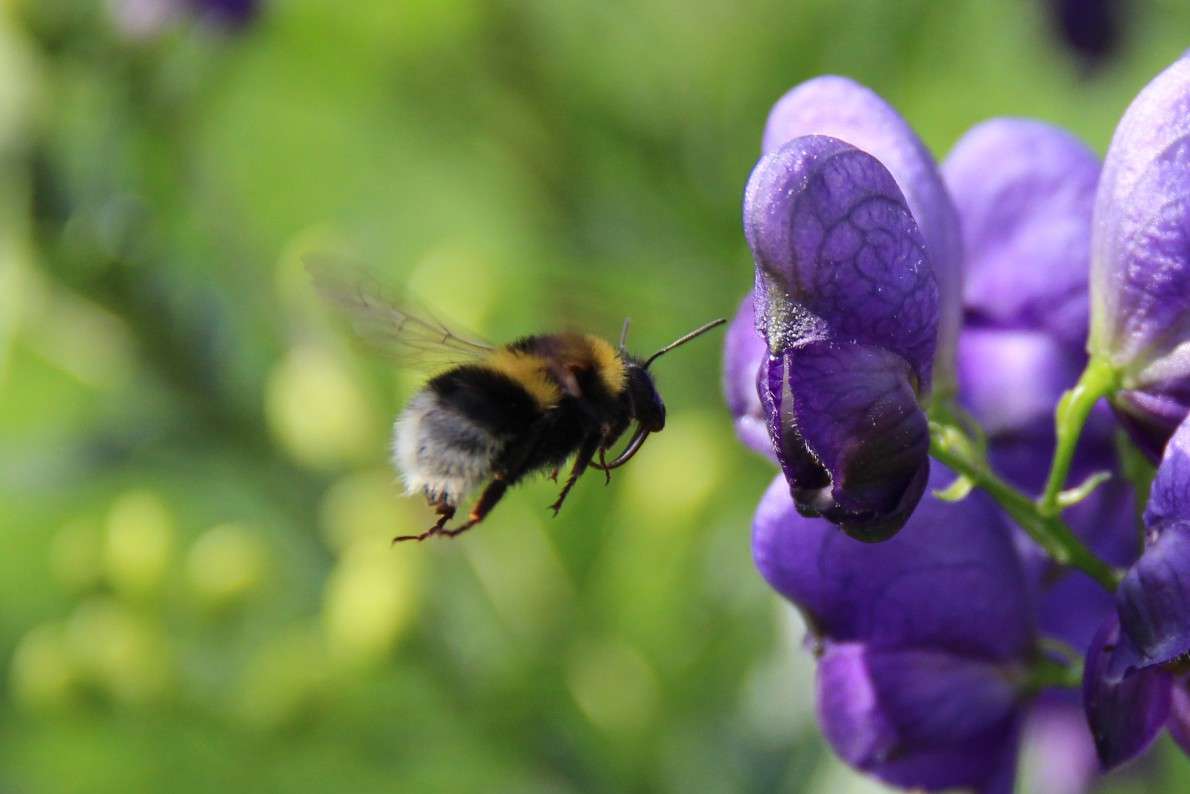 � ������ ����� �������  �� PhotoGeek.ru #����� #�������� ��� #���������