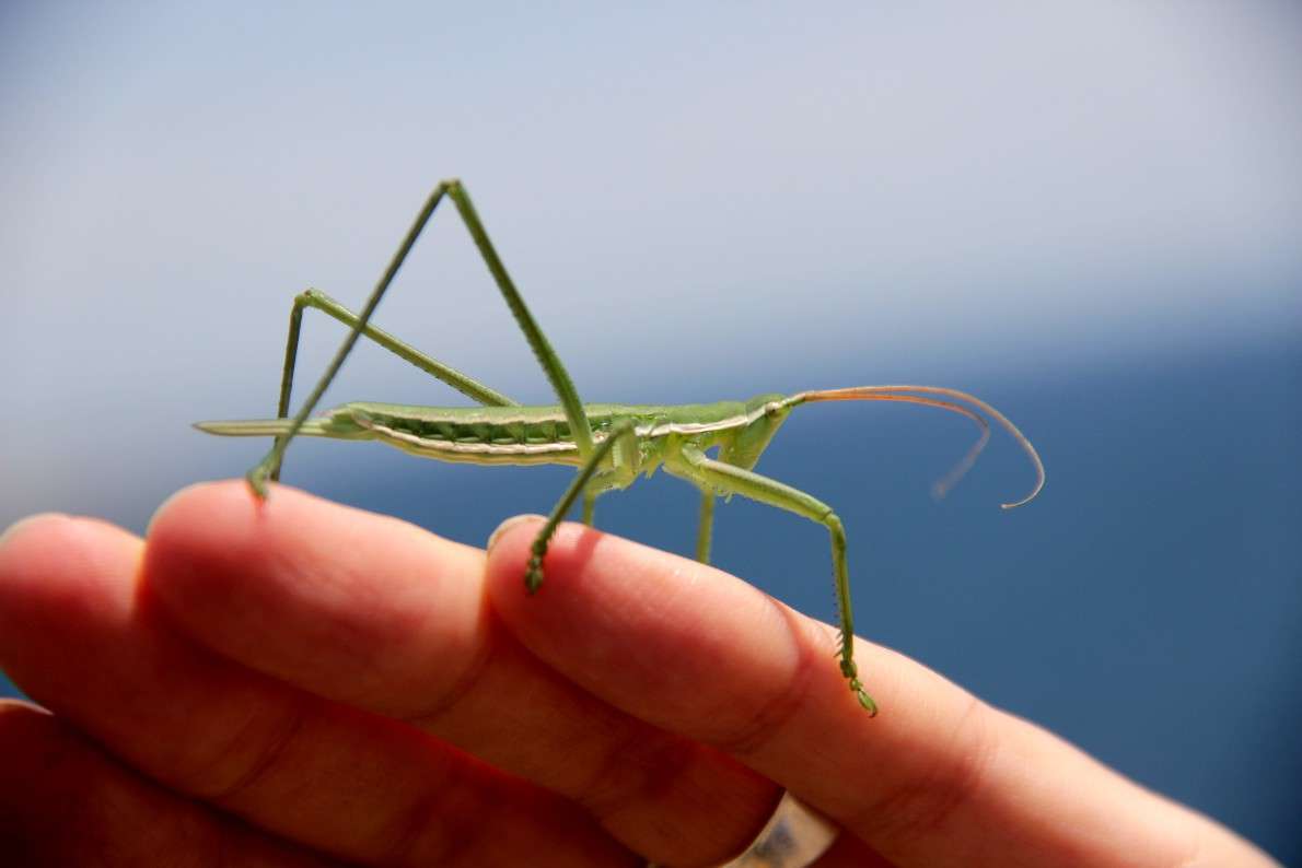 ����������� �� ��� ����� �������  �� PhotoGeek.ru #����� #���������