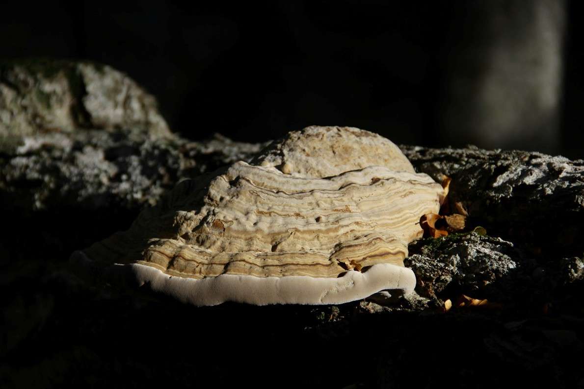 ���� � ����� ����� �������  �� PhotoGeek.ru #����� #����� ��������������