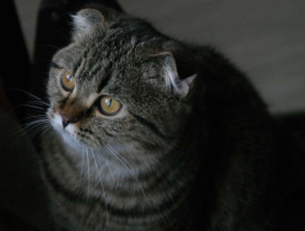 ����������� ����� ����� �������� �� PhotoGeek.ru #�������� ��� #������� #�������� ���