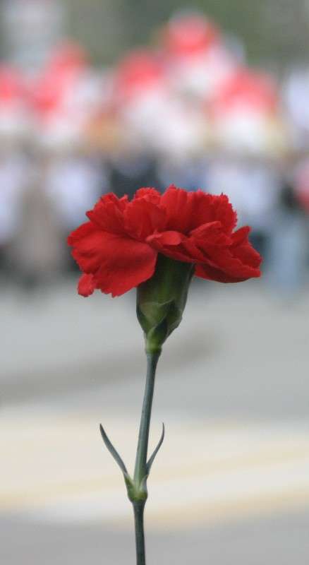 ������ ����� ����� �������� �� PhotoGeek.ru #�����