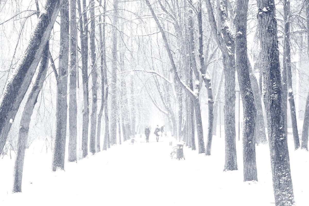 �������� �������� ����� �����  �� PhotoGeek.ru #����� #������ ��� ������� #��������� ������ #���������