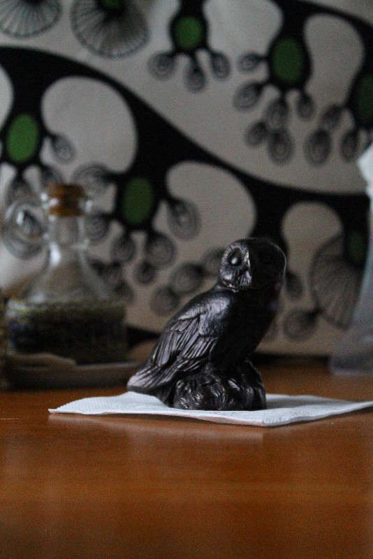 OWL ����� �����  �� PhotoGeek.ru #��������� #�������������