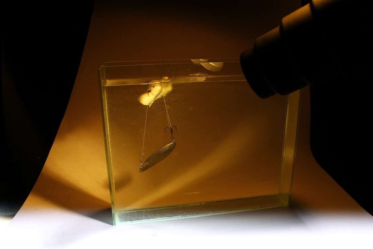 ... ����� �����  �� PhotoGeek.ru #���������