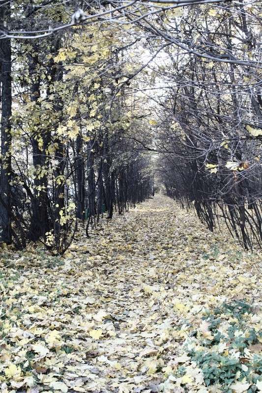 ����� ����� ����� �����  �� PhotoGeek.ru #������ ��� �������