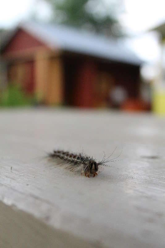 ... ����� �����  �� PhotoGeek.ru #����� #�������� ���