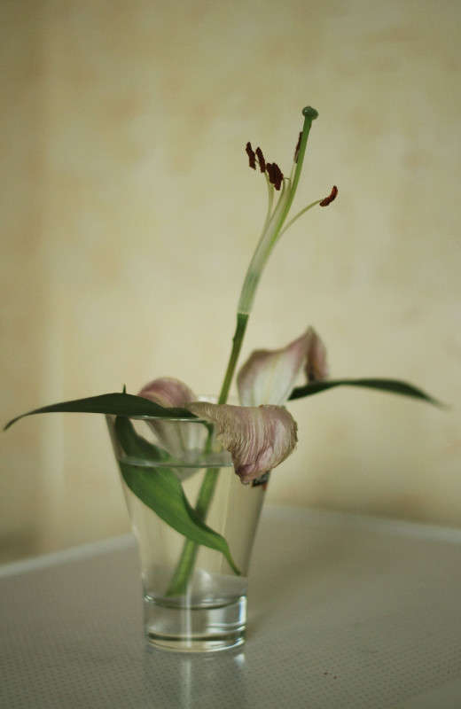 ... ����� Anna  �� PhotoGeek.ru #���������