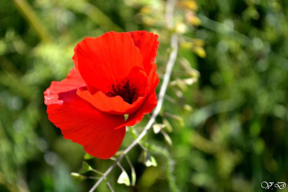 R&G ����� ���������  �� PhotoGeek.ru #������ ��� ������� #����� ��������������