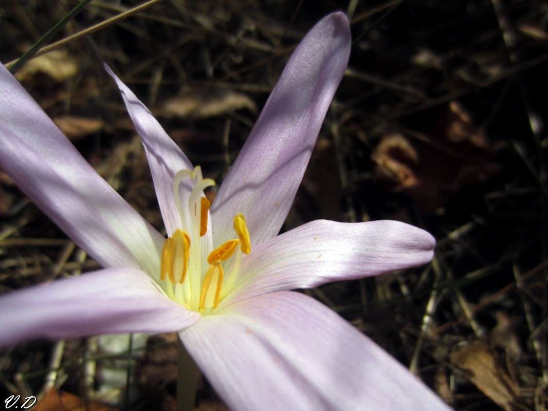 ... ����� ���������  �� PhotoGeek.ru #����� #������ ��� ������� #����� ��������������