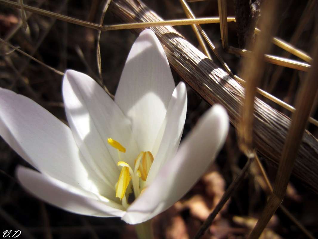 ... ����� ���������  �� PhotoGeek.ru #����� #������ ��� ������� #����� ��������������