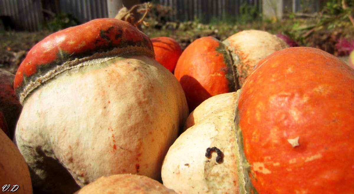 ... ����� ���������  �� PhotoGeek.ru #�����