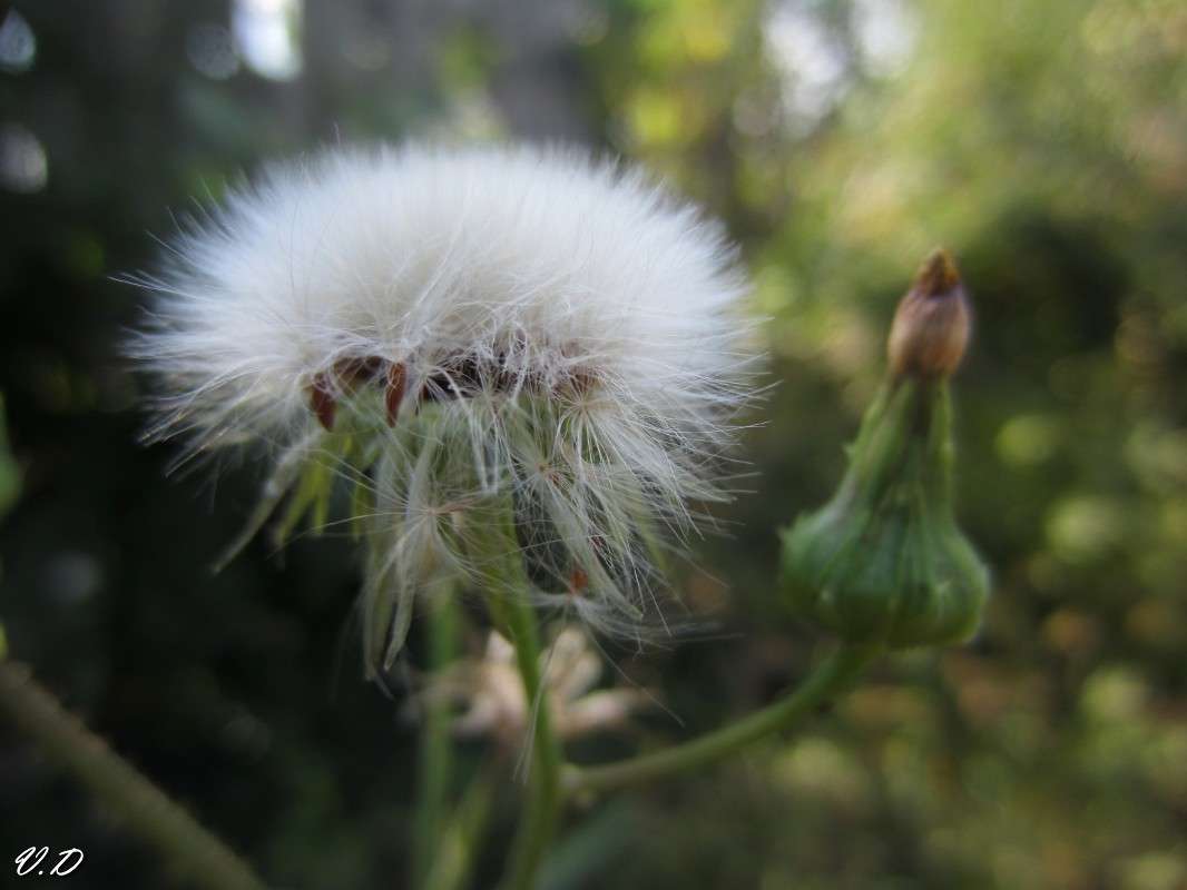 ... ����� ���������  �� PhotoGeek.ru #����� #������ ��� ������� #����� ��������������