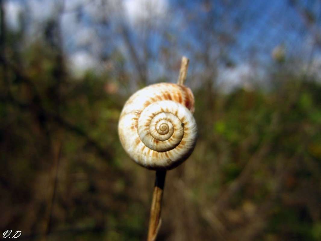 ... ����� ���������  �� PhotoGeek.ru #�����