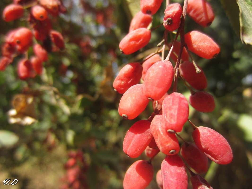 ... ����� ���������  �� PhotoGeek.ru #����� #����� ��������������