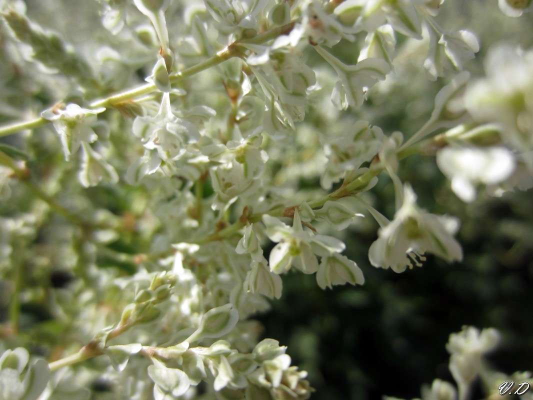 ... ����� ���������  �� PhotoGeek.ru #������ ��� ������� #����� ��������������