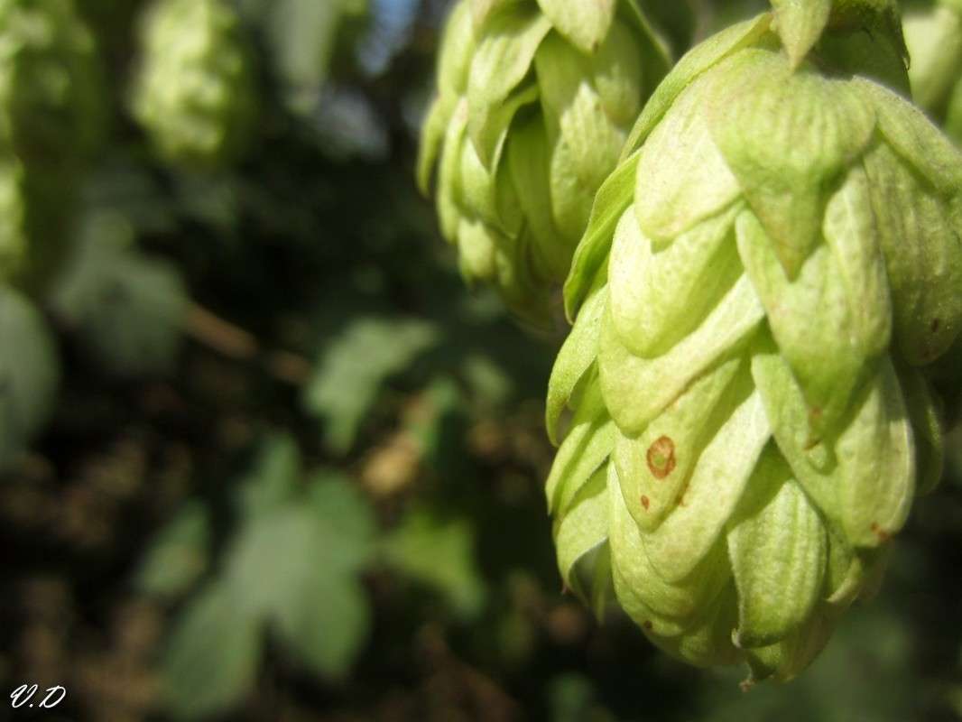 ... ����� ���������  �� PhotoGeek.ru #����� #����� ��������������