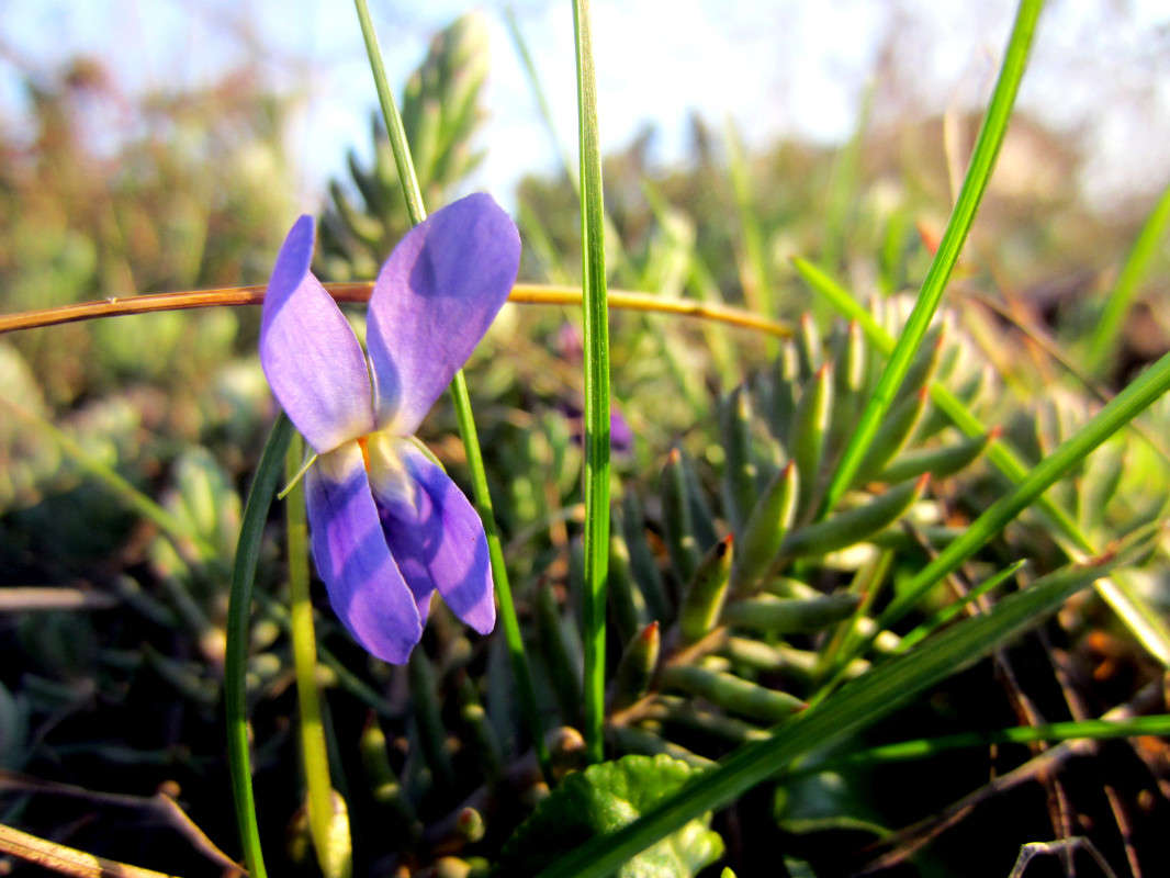 ... ����� ���������  �� PhotoGeek.ru #����� #����� ��������������