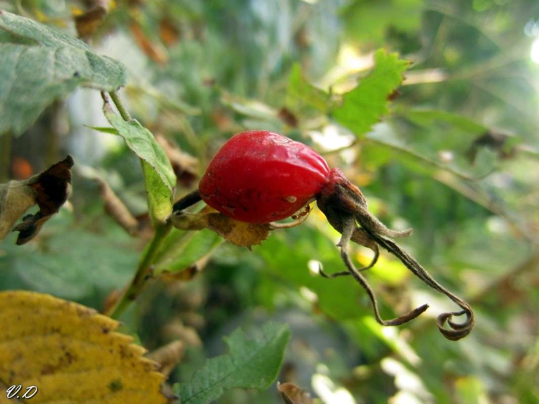 ... ����� ���������  �� PhotoGeek.ru #����� #����� ��������������