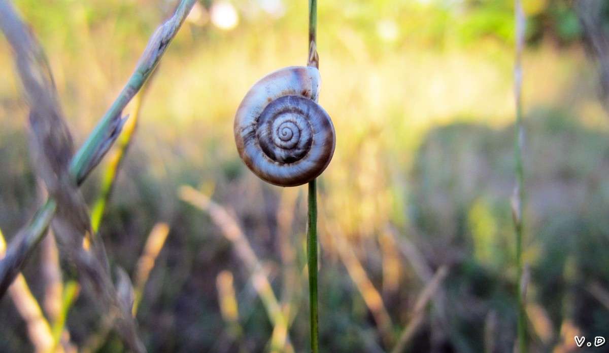 ... ����� ���������  �� PhotoGeek.ru #�����