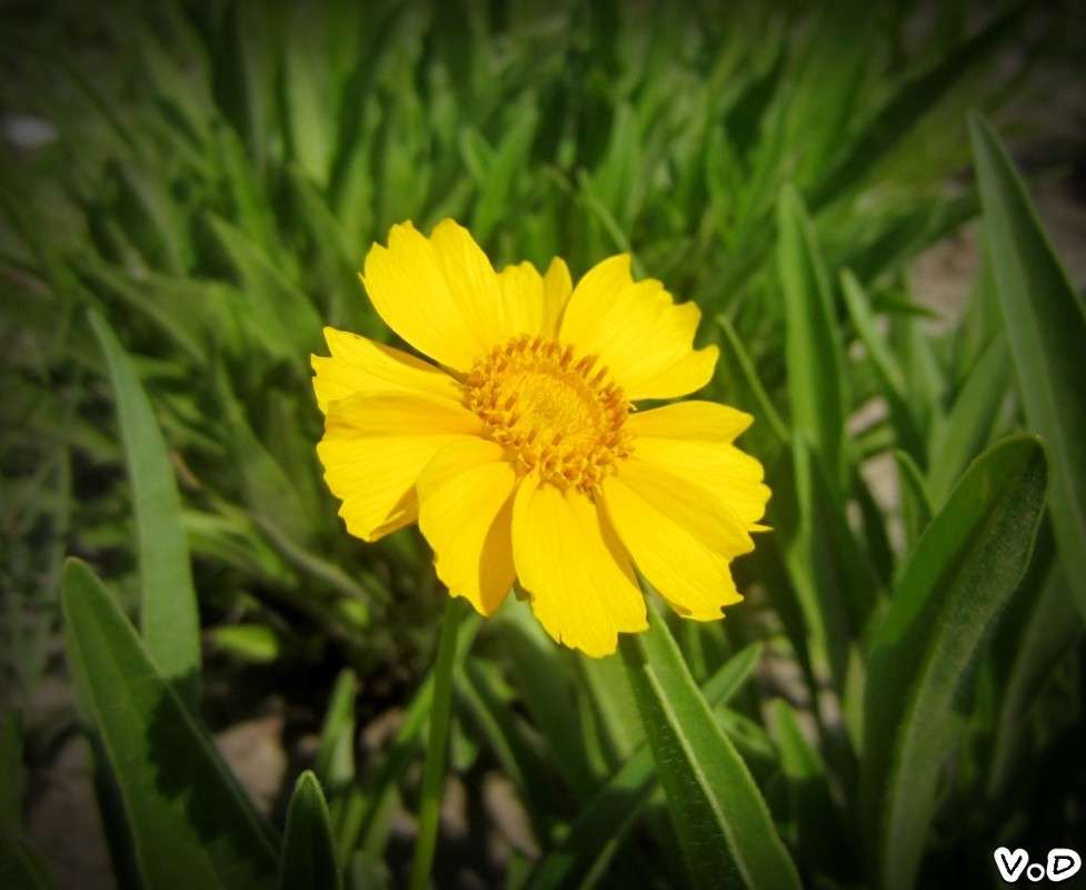 ... ����� ���������  �� PhotoGeek.ru #����� #����� ��������������