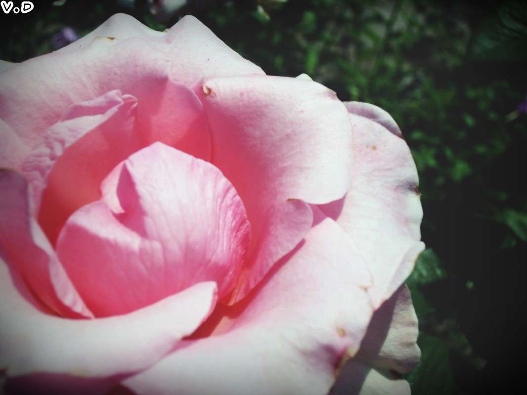 ... ����� ���������  �� PhotoGeek.ru #����� #����� ��������������