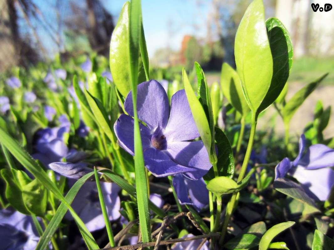 ... ����� ���������  �� PhotoGeek.ru #������ ��� ������� #����� ��������������