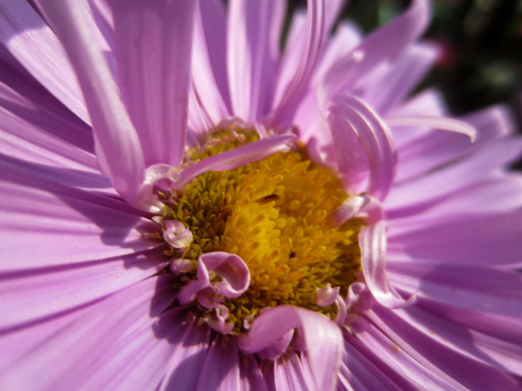 ... ����� ���������  �� PhotoGeek.ru #����� #����� ��������������