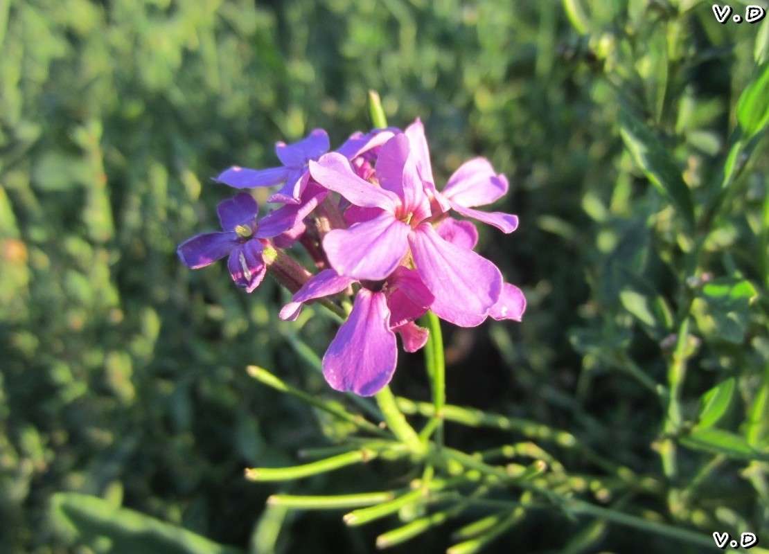 ... ����� ���������  �� PhotoGeek.ru #����� #������ ��� �������