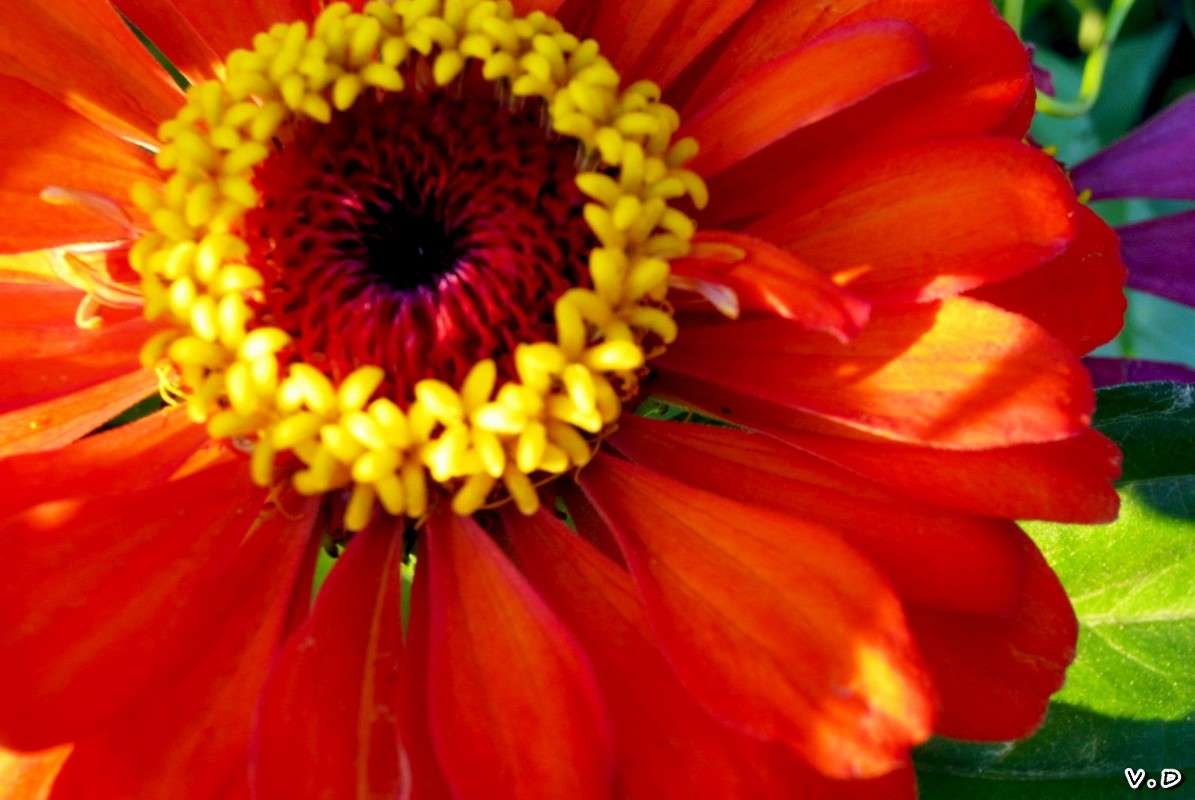 ... ����� ���������  �� PhotoGeek.ru #����� #������ ��� �������