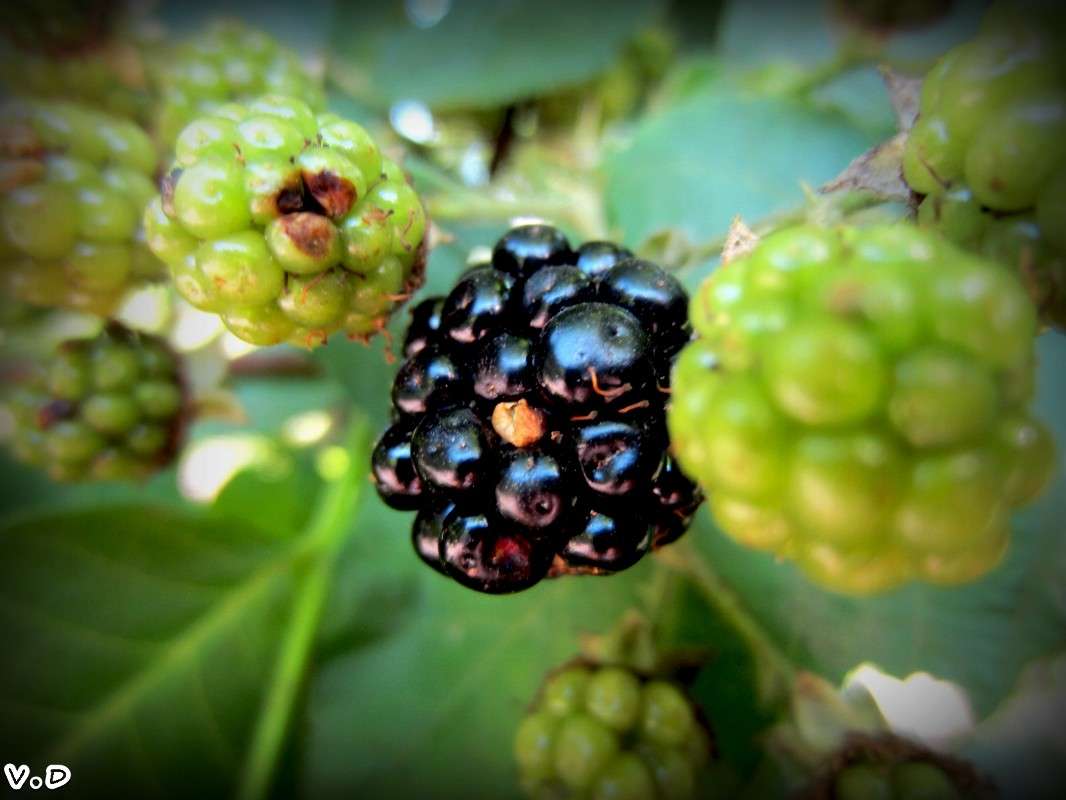 ... ����� ���������  �� PhotoGeek.ru #����� #������ ��� �������