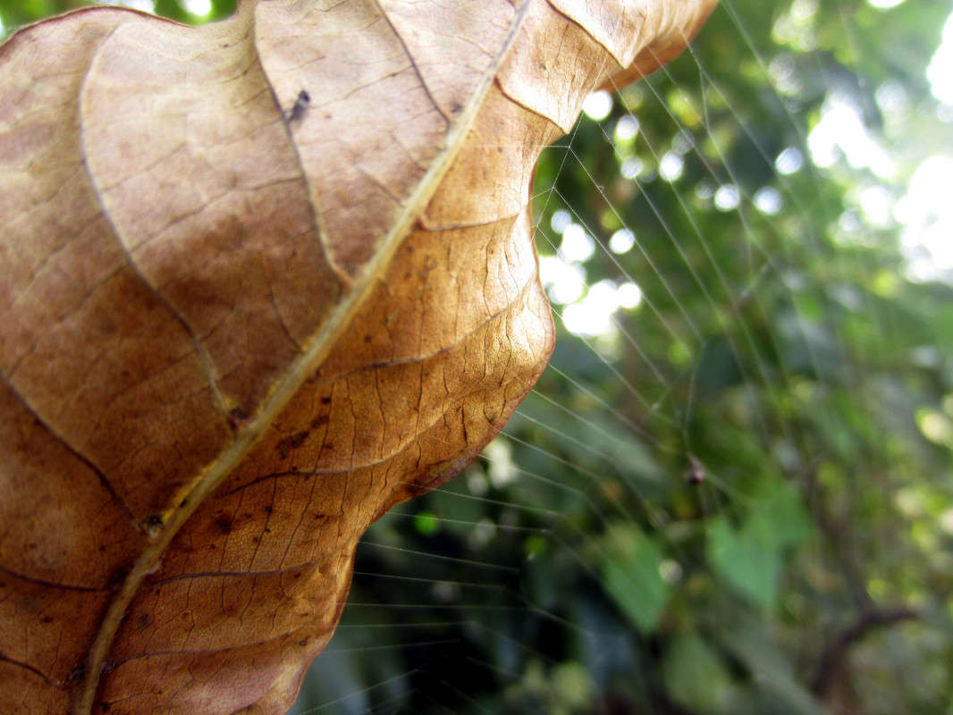 ... ����� ���������  �� PhotoGeek.ru #����� #������ ��� �������