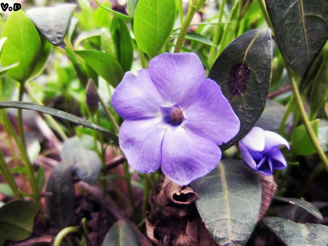 ... ����� ���������  �� PhotoGeek.ru #����� #������ ��� �������