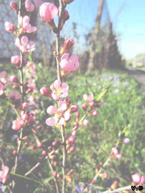 ... ����� ���������  �� PhotoGeek.ru #�����