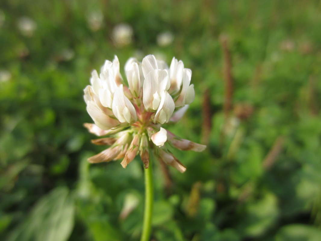 ... ����� ���������  �� PhotoGeek.ru #����� #������ ��� ������� #����� ��������������