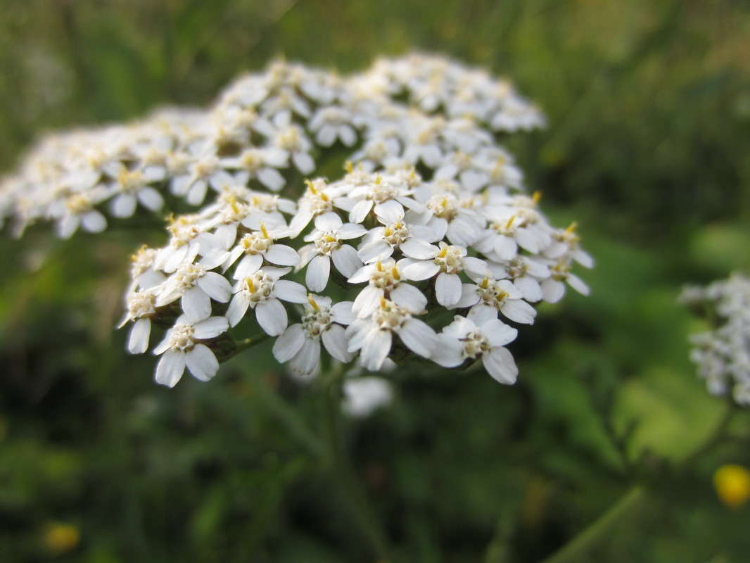 ... ����� ���������  �� PhotoGeek.ru #����� #������ ��� ������� #����� ��������������