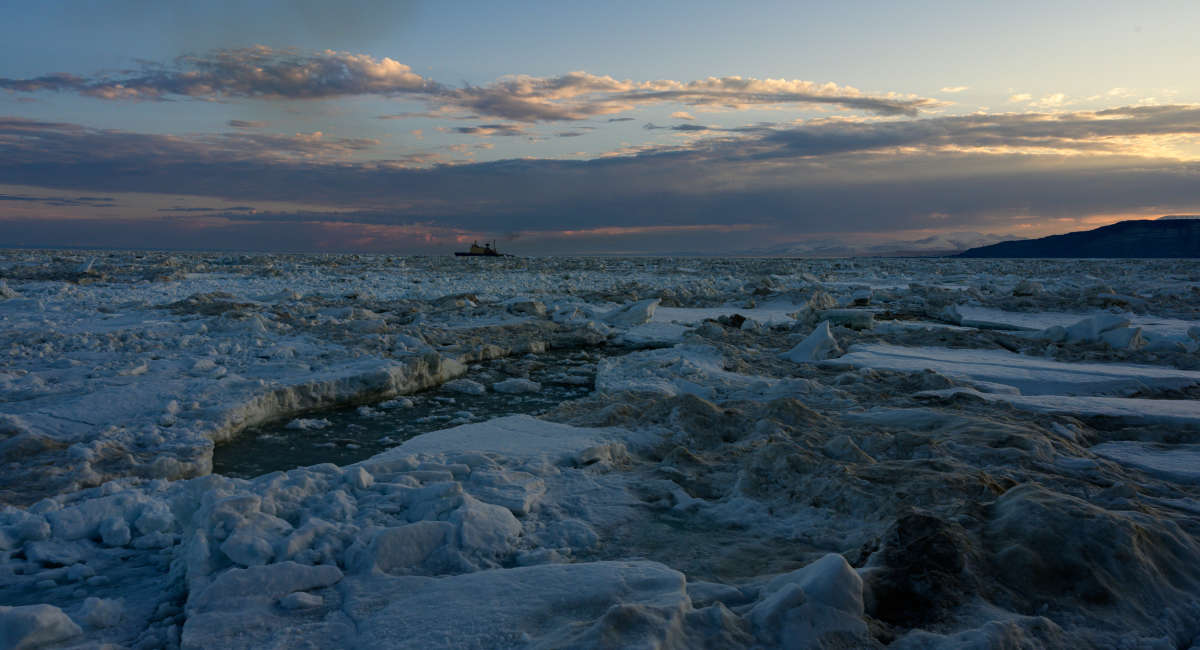 �������� ������� ���� ����� Igor Pridannikov �� PhotoGeek.ru #��������