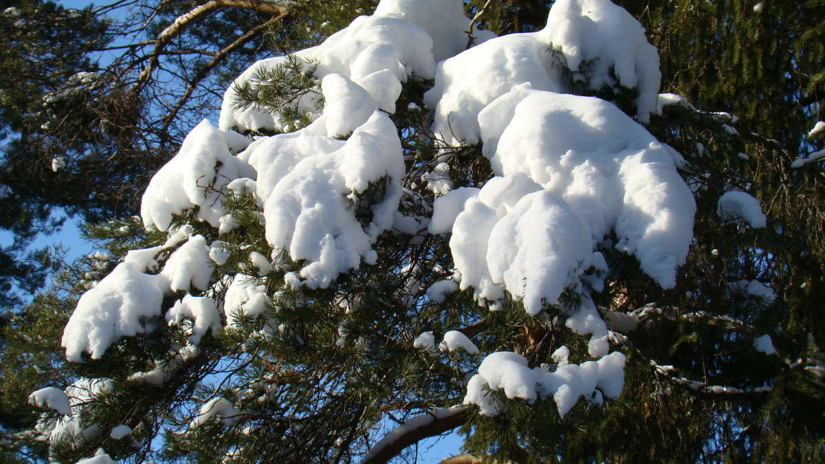 ��� ������ �����... ����� ϸ�� ����������� �� PhotoGeek.ru #������ ��� ������� #����� ��������������