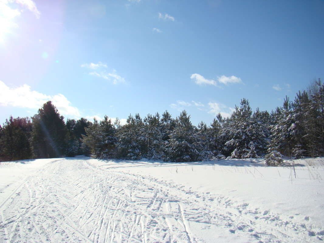 ������ ������.��������� ���� (�������� ����� �����) ����� ϸ�� ����������� �� PhotoGeek.ru #������ ��� ������� #����� ��������������