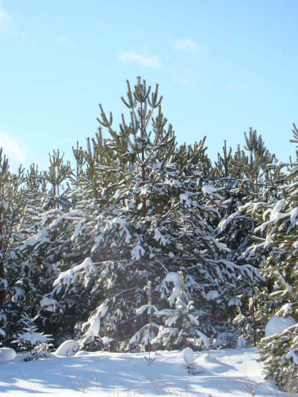 ������� ������ ����� ϸ�� ����������� �� PhotoGeek.ru #������ ��� ������� #����� ��������������