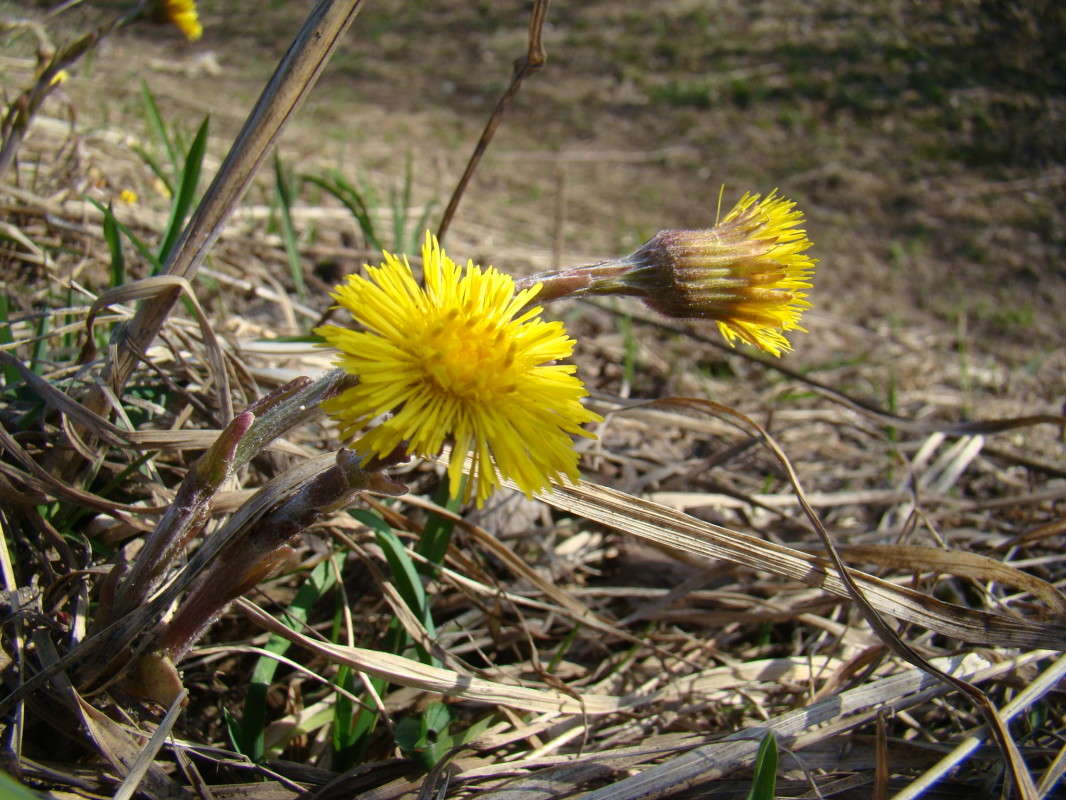 ������ �����. ����� ϸ�� ����������� �� PhotoGeek.ru #�������� ��� #������ ��� ������� #����� ��������������