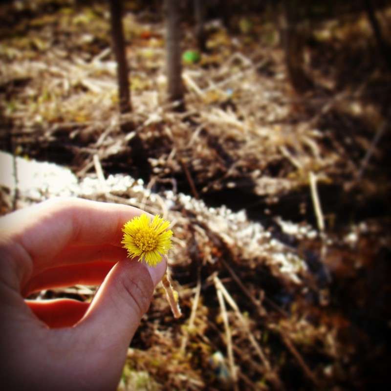 ��������� ����������. ����� ϸ�� ����������� �� PhotoGeek.ru #������ ��� �������