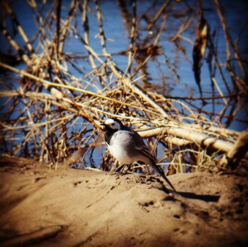 ������ ������. ����� ϸ�� ����������� �� PhotoGeek.ru #�������� ���