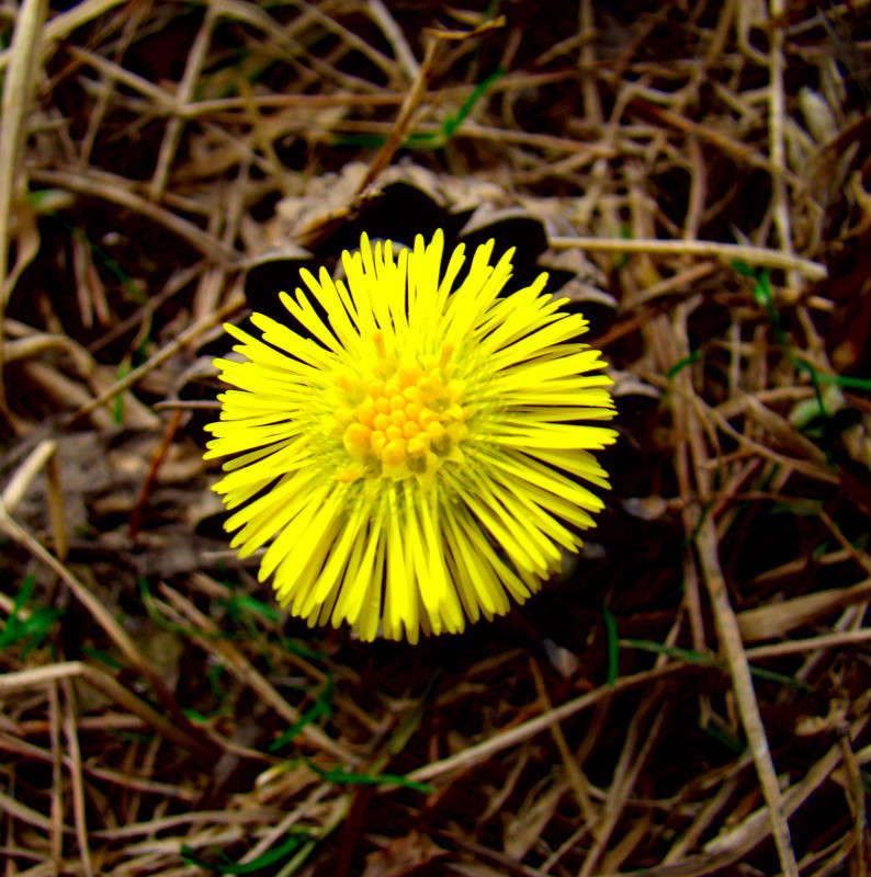 ��������� ����� ϸ�� ����������� �� PhotoGeek.ru #������ ��� ������� #����� ��������������