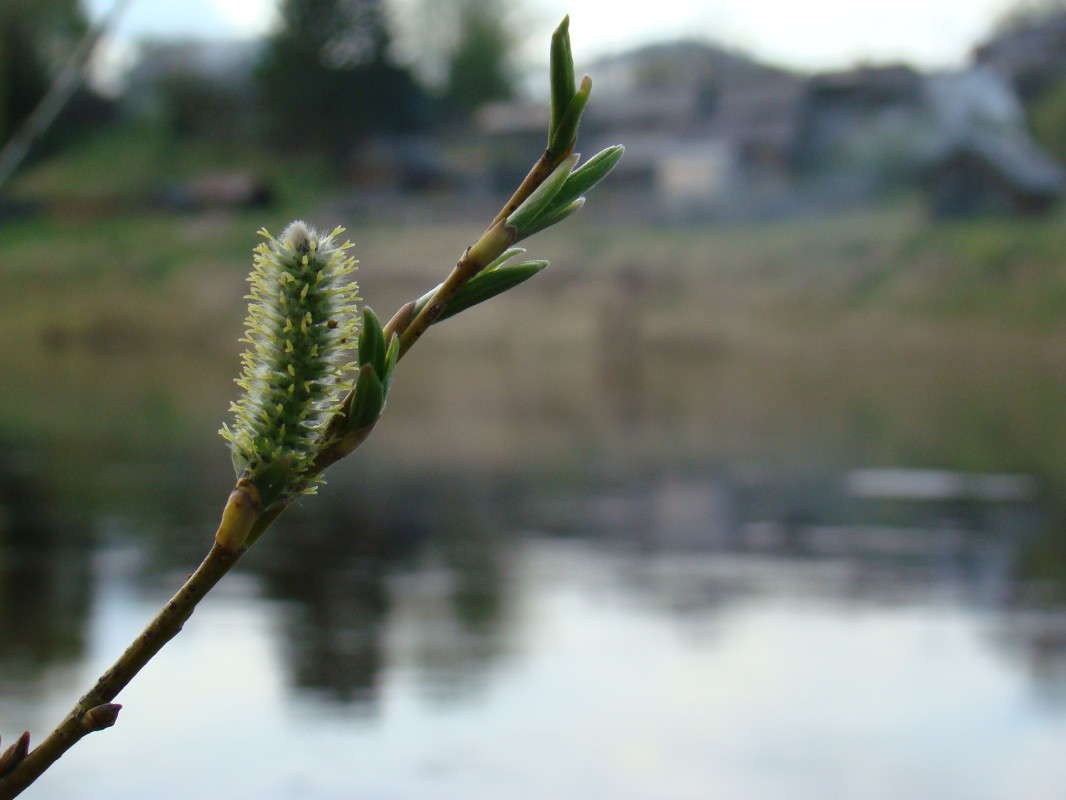 ������� ���� ����� ϸ�� ����������� �� PhotoGeek.ru #������ ��� ������� #����� �������������� #������