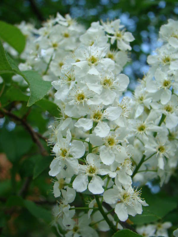 �������... ����� ϸ�� ����������� �� PhotoGeek.ru #������ ��� ������� #����� ��������������