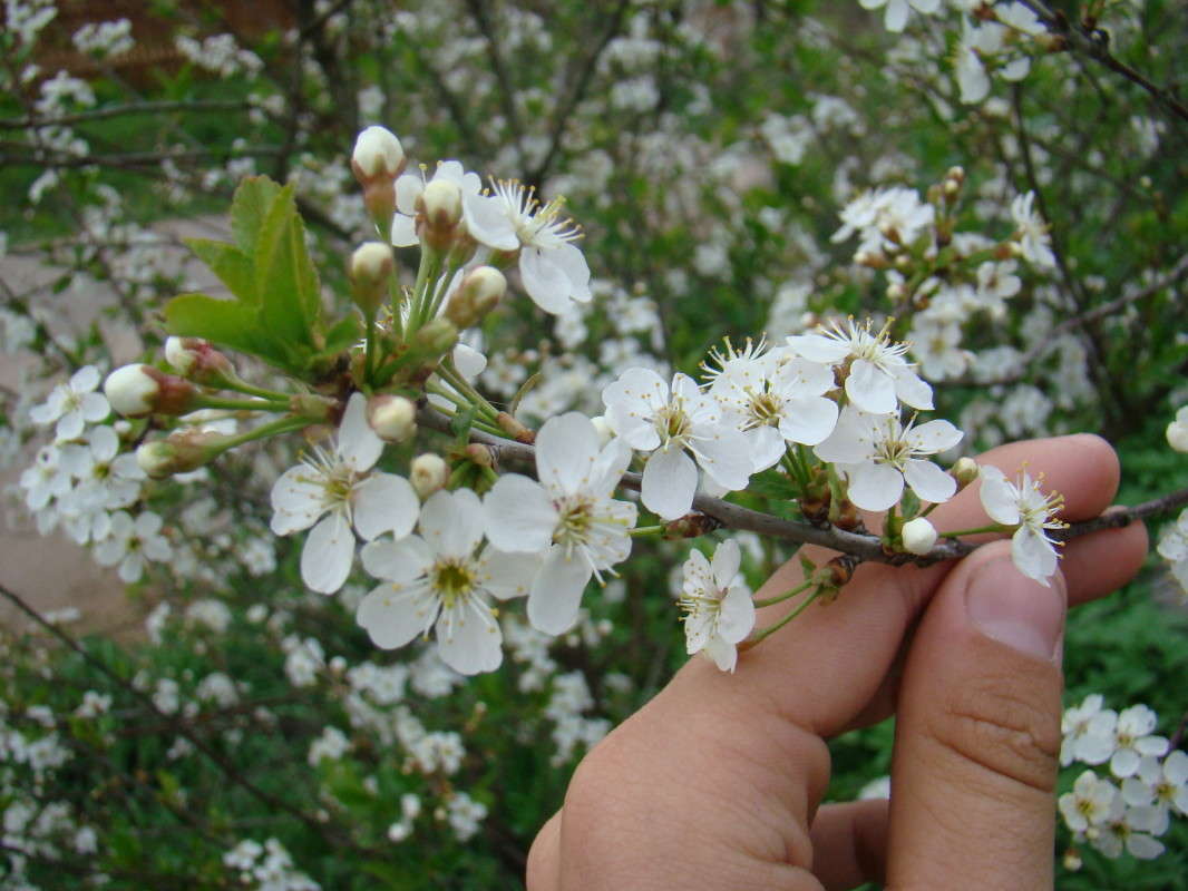 ... ����� ϸ�� ����������� �� PhotoGeek.ru #������ ��� ������� #����� ��������������