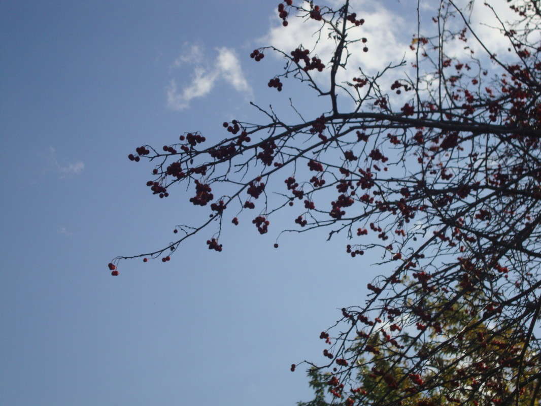 ... ����� �������� ��� �� PhotoGeek.ru #������ ��� ������� #����� ��������������