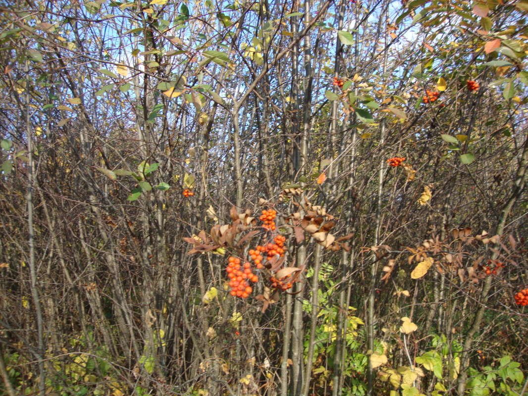 ... ����� �������� ��� �� PhotoGeek.ru #������ ��� ������� #����� ��������������